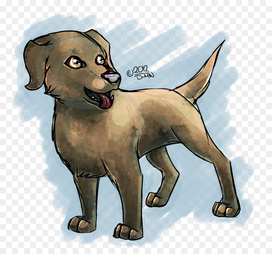 Labrador Retriever，Cachorro PNG