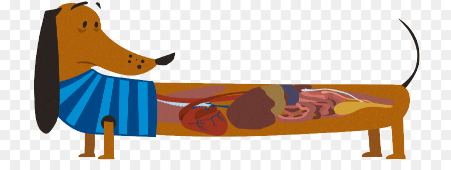 Perro，Gusano PNG