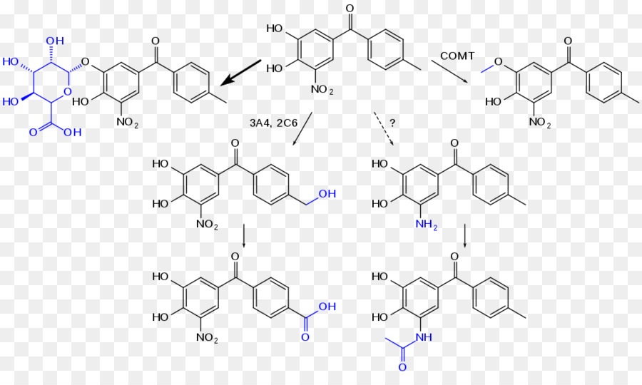 Estructuras De Adn Y Arn，Molécula PNG