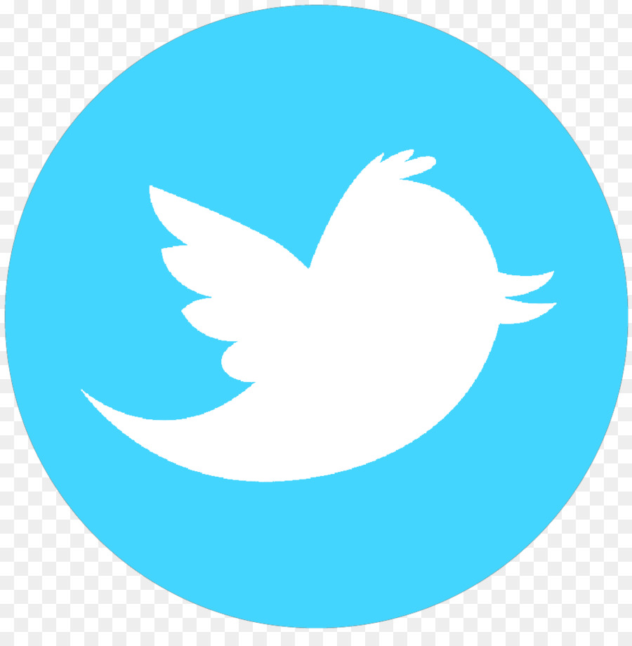 Logotipo De Twitter，Redes Sociales PNG