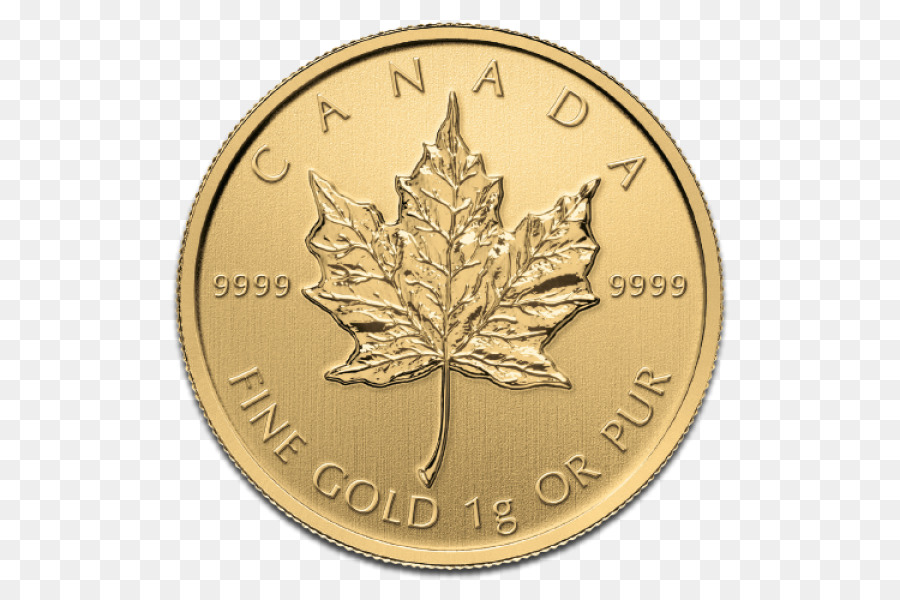 Moneda De Oro，Canadá PNG