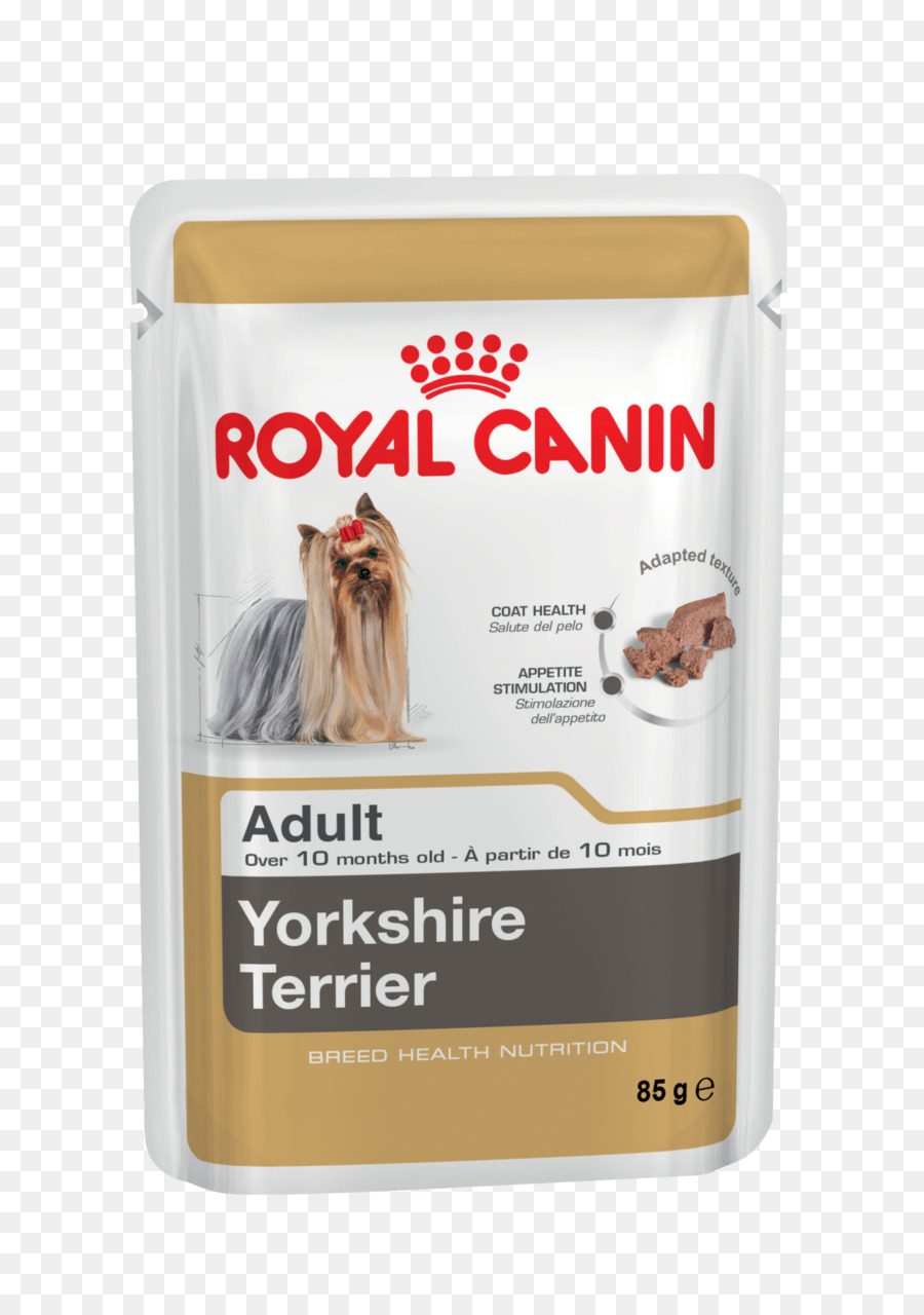 Terrier De Yorkshire，Gato PNG