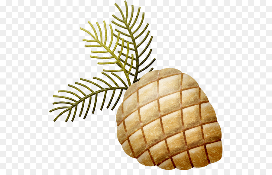 Piña，Rama PNG