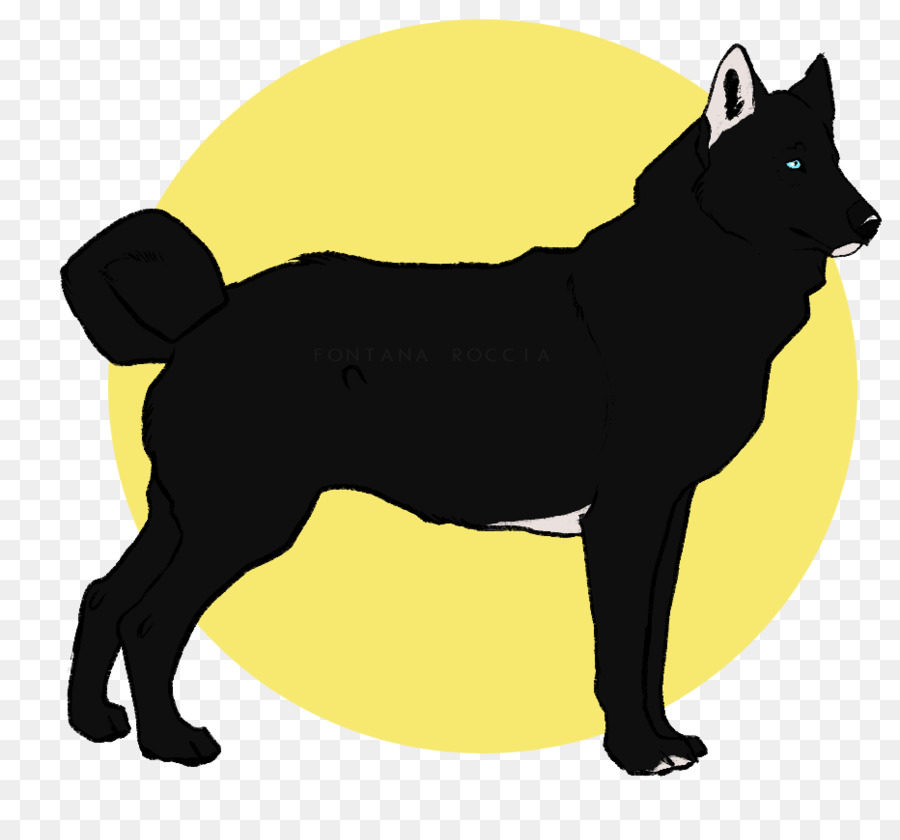 Schipperke，Spitz Finlandés PNG