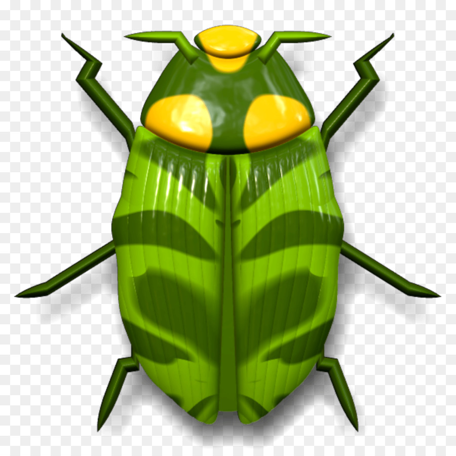 Escarabajo，Cucaracha PNG