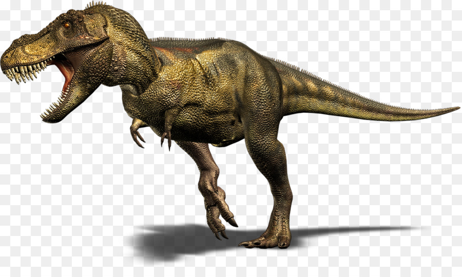 Spinosaurus，Velociraptor PNG