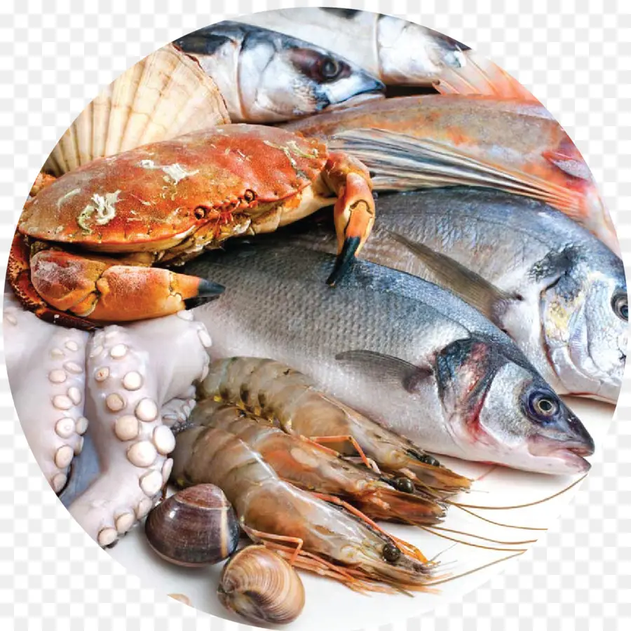 Mariscos，Los Peces PNG