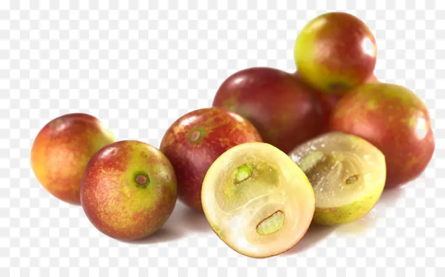 Camu Camu，La Selva Amazónica PNG