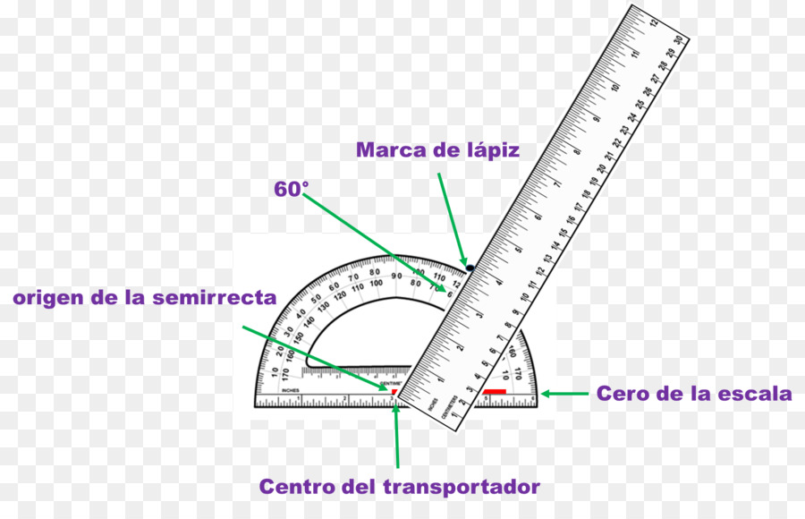 Transportador Y Regla，Medición PNG