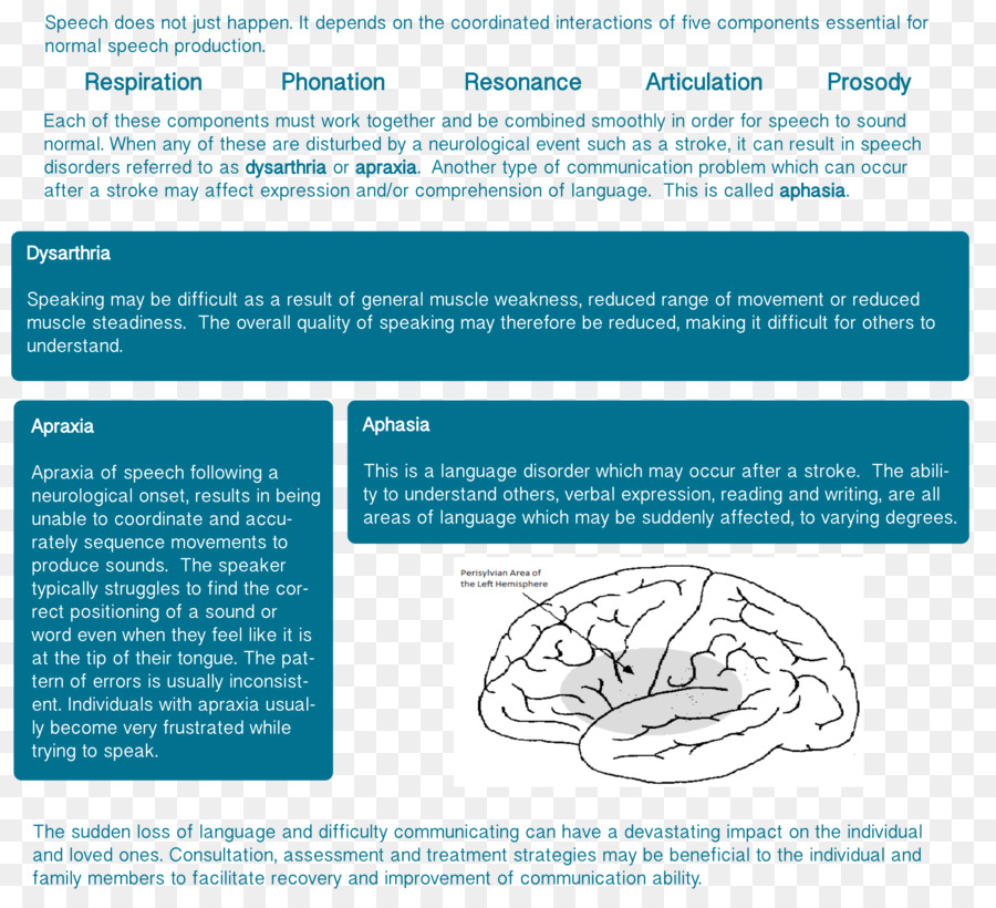 Speechlanguage Patología，Patología PNG