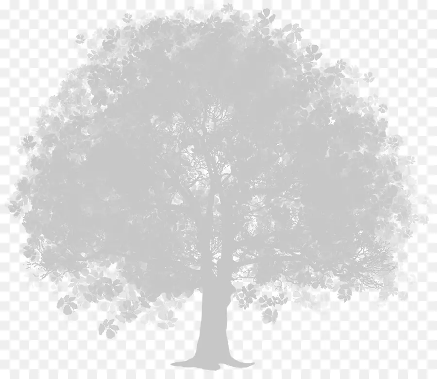 Silueta De Arbol，Sombra PNG