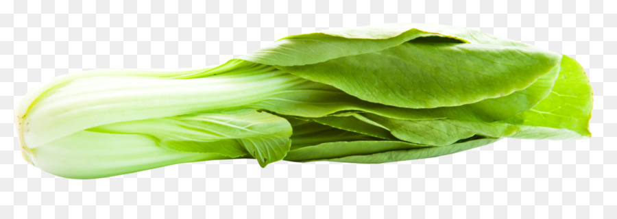 Bok Choi，Verde PNG