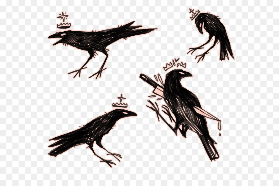 Cuervos Negros，Aves PNG