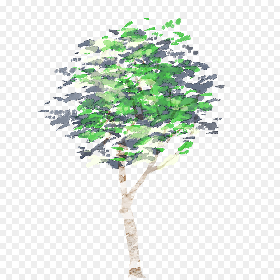 Árbol，Pintura A La Acuarela PNG