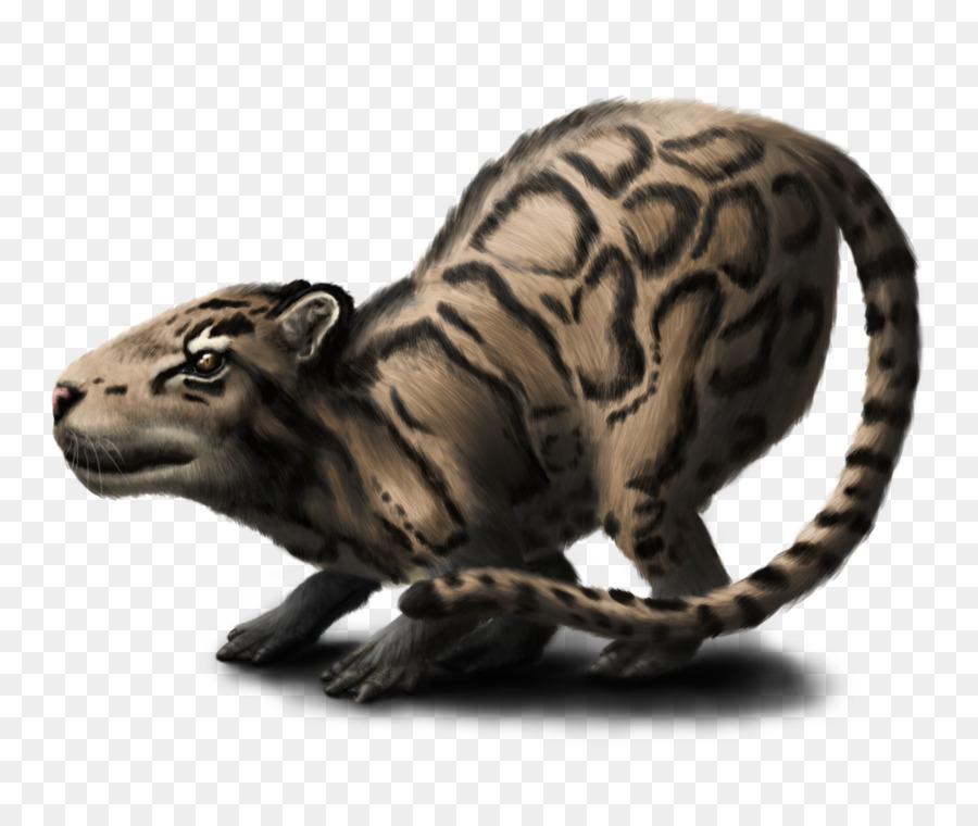 Carpincho，Leopardo Nublado PNG