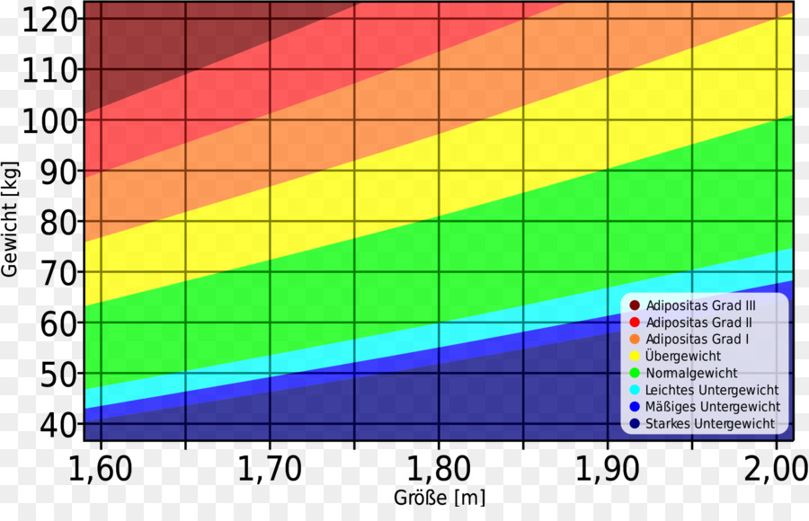 El índice De Masa Corporal，Cuerpo Humano De Peso PNG