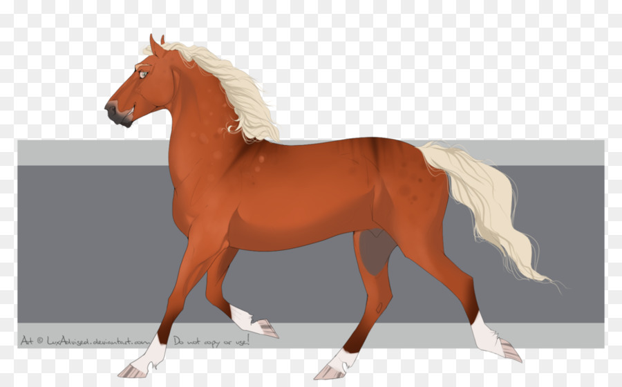 Caballo Corriendo，Animal PNG