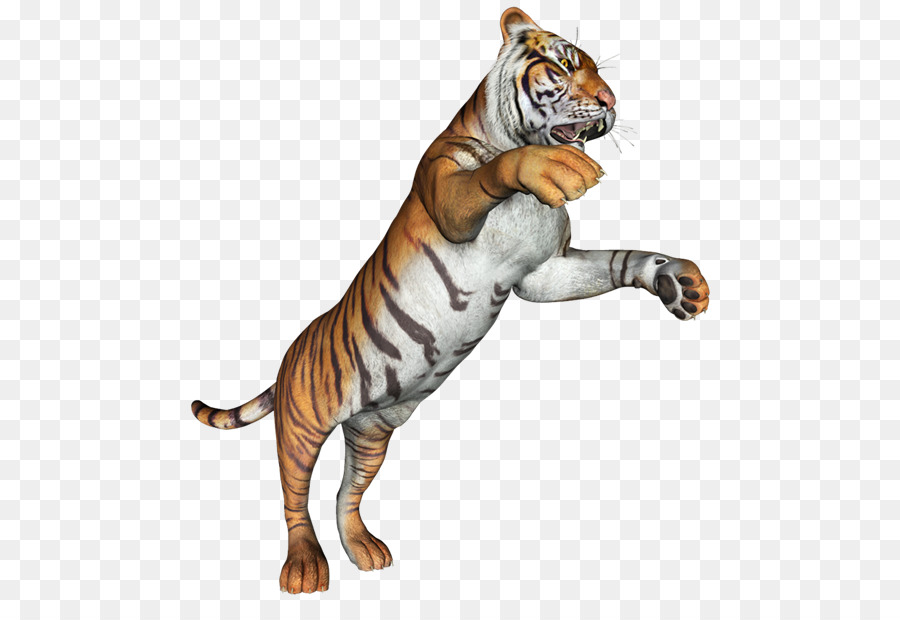 Tigre，Felino De Gran Tamaño PNG