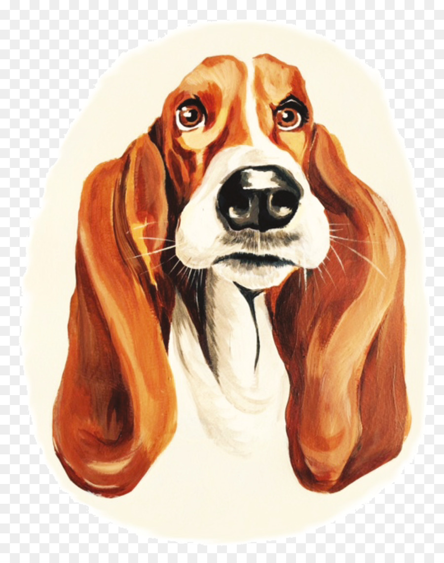 Beagle，Aguilucho PNG