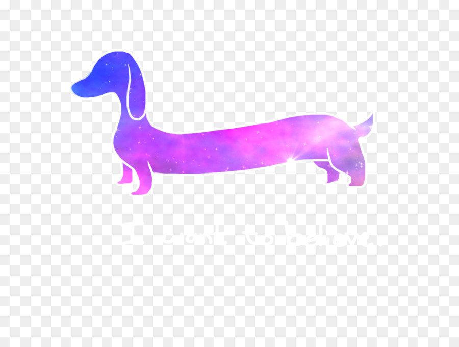 Perro Tejonero，Camiseta PNG