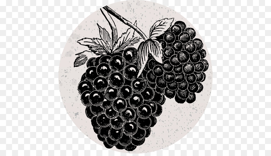 Blackberry，Uva PNG