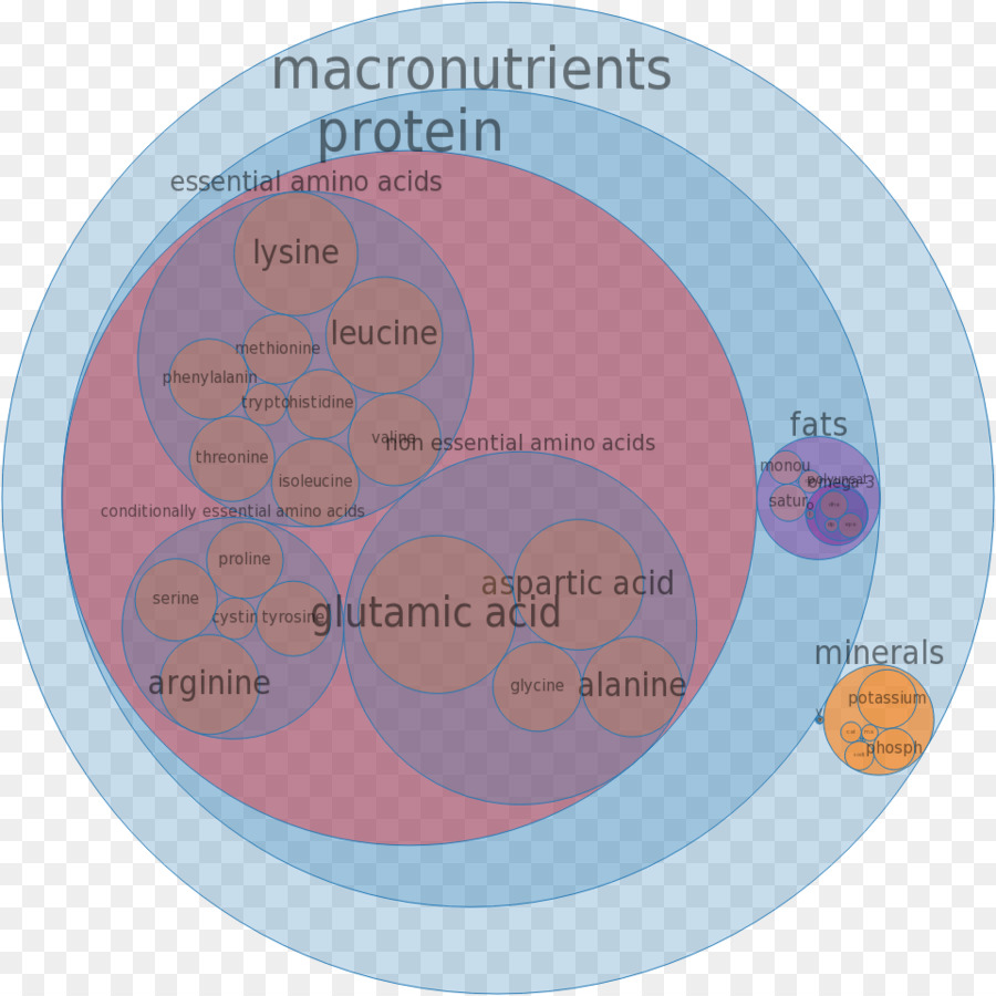 Circulo，Texto PNG