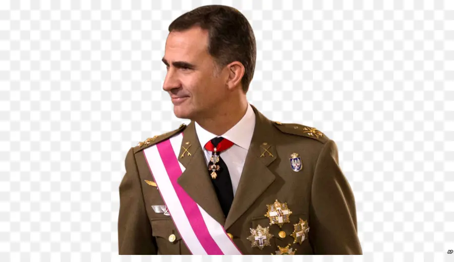 Felipe Vi De España，España PNG