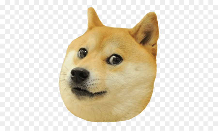 Shiba Inu，Camiseta PNG