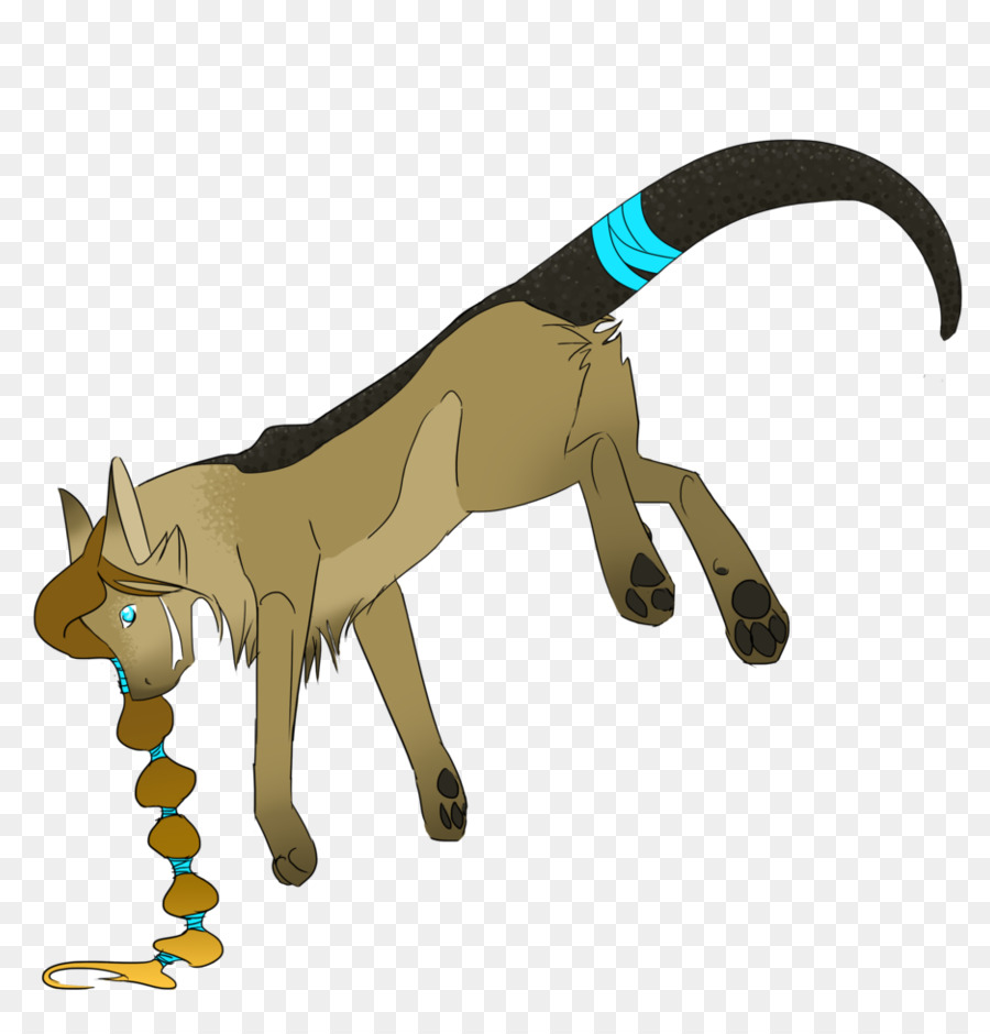 Canidae，Gato PNG