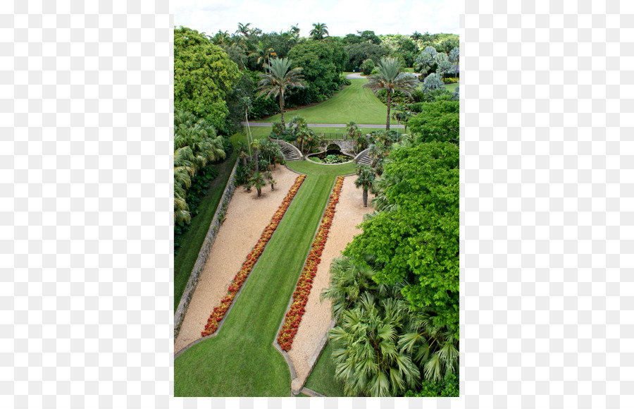 El Jardín Botánico Tropical Fairchild，Jardín PNG