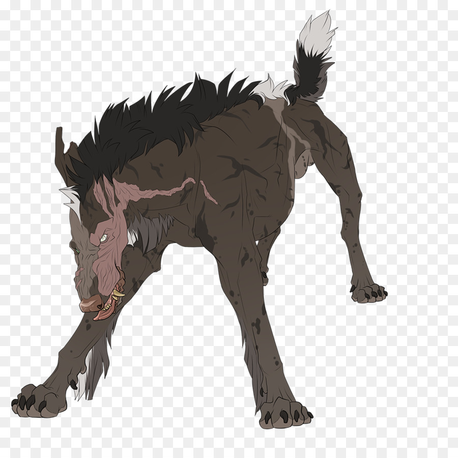 Canidae，Perro PNG