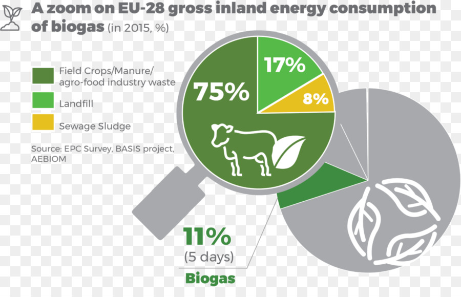 La Unión Europea，La Bioenergía PNG