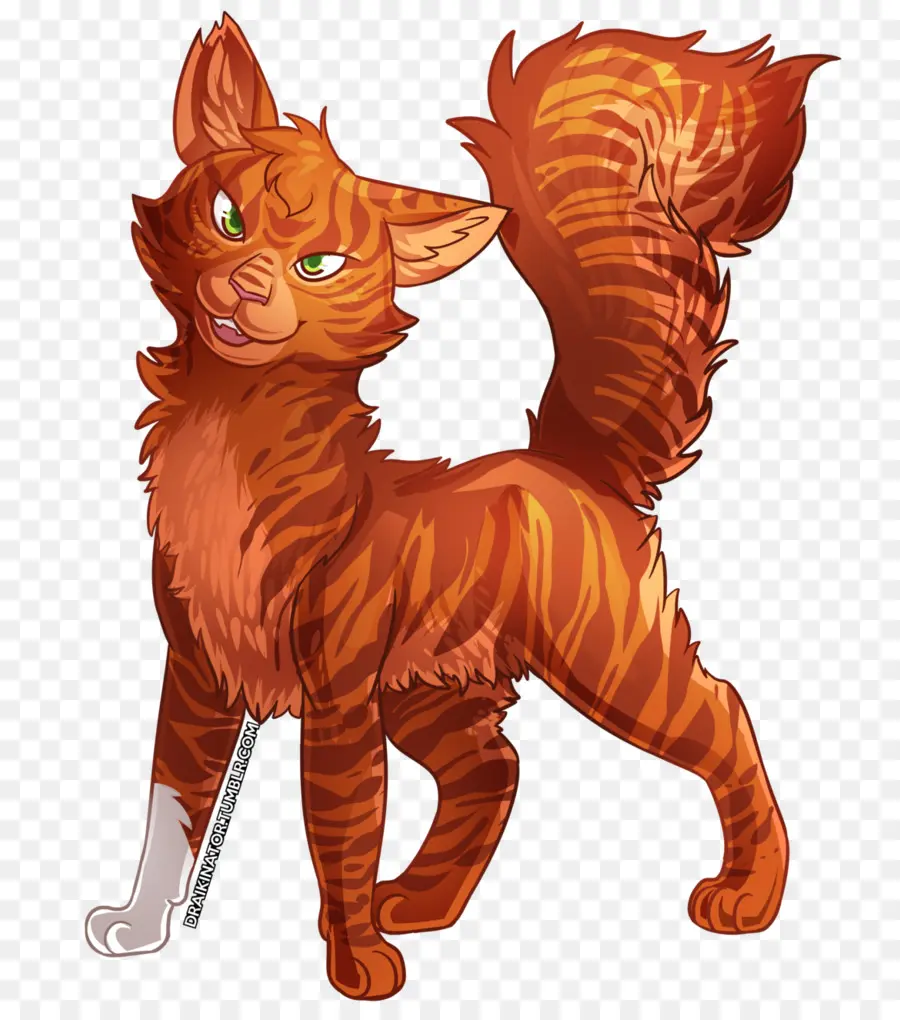 Los Guerreros，Squirrelflight PNG