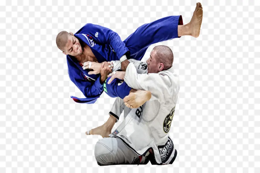 Jiujitsu Brasileño，Brazilian Jiujitsu Teoría Y Técnica PNG