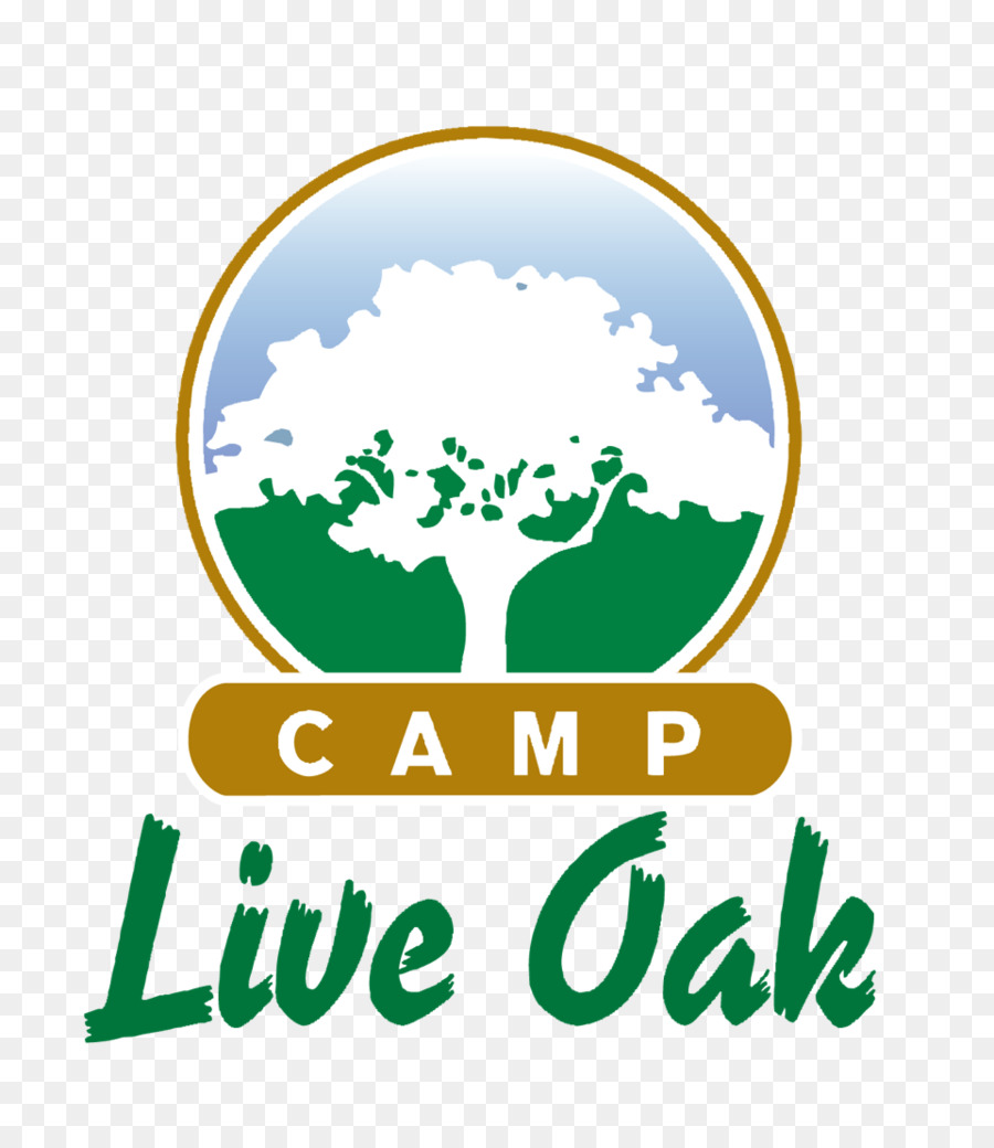 Parque Estatal Hugh Taylor Birch，Campamento De Live Oak PNG