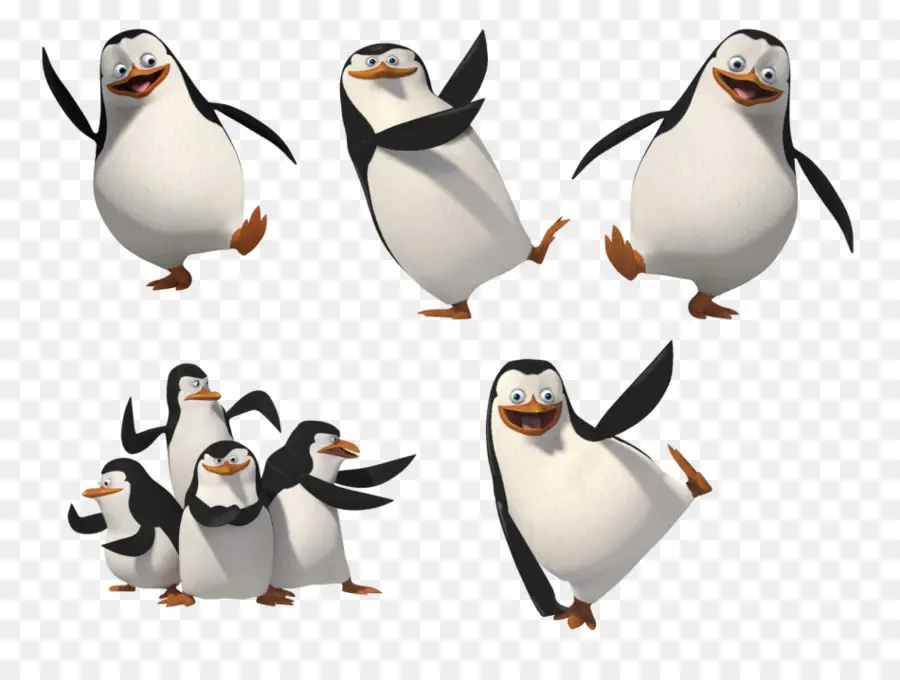 Kowalski，El Capitán PNG