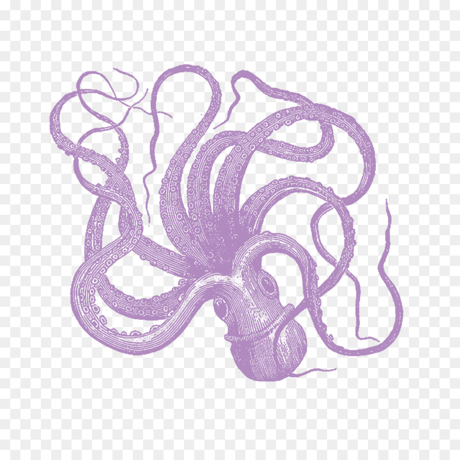 Pulpo，Douchegordijn PNG