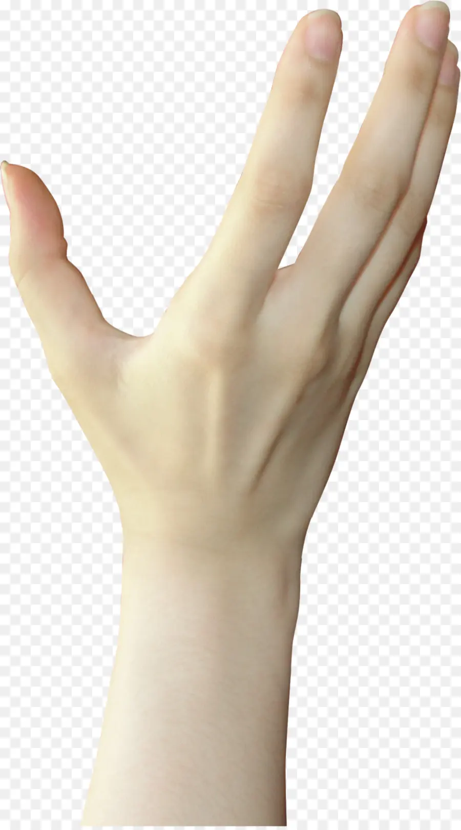 Pulgar，De La Mano PNG