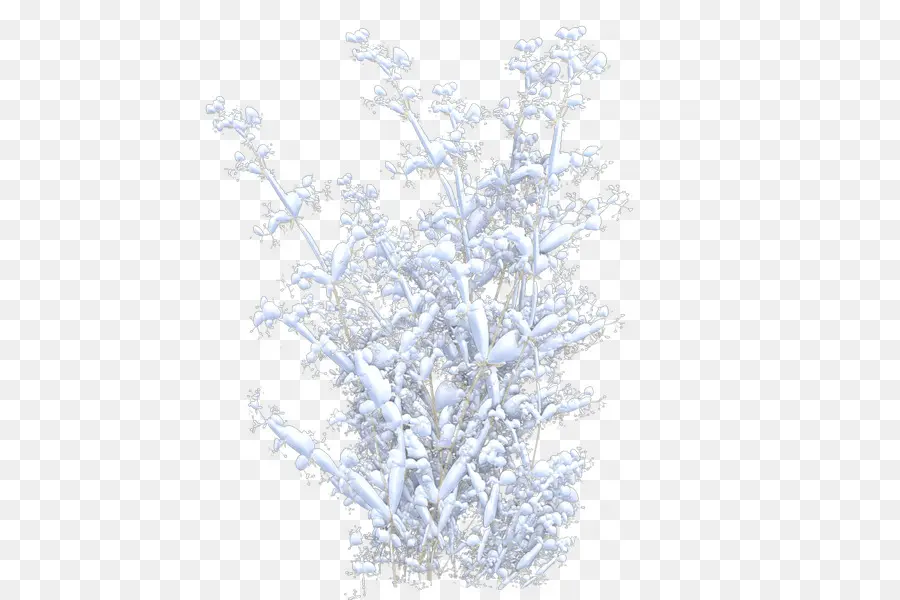 Invierno，Lavanda PNG