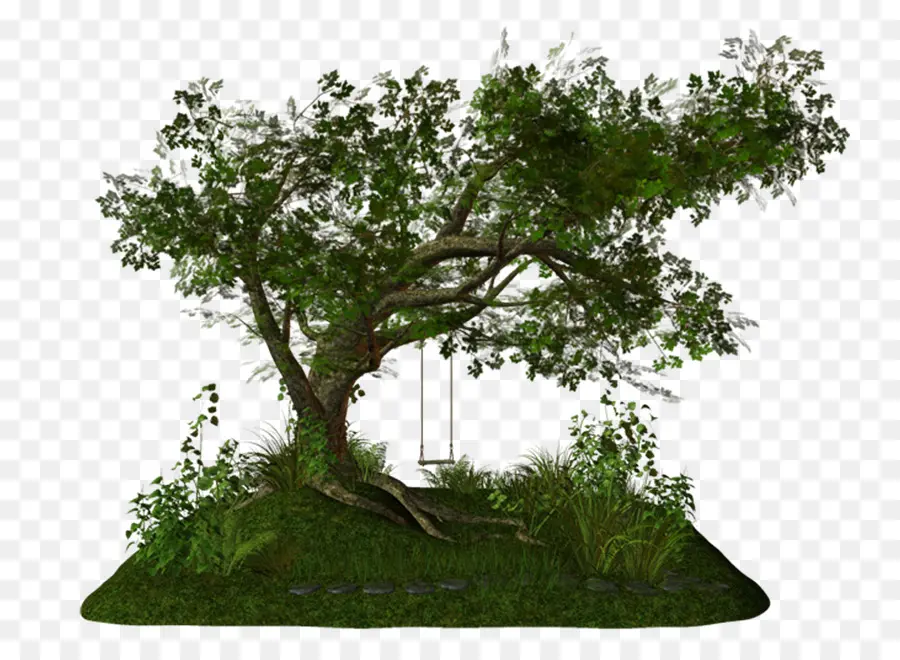 China Dulce De Ciruela，Árbol PNG