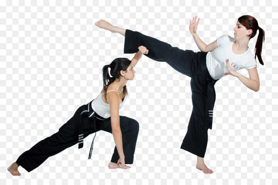 Bagua，Artes Marciales PNG