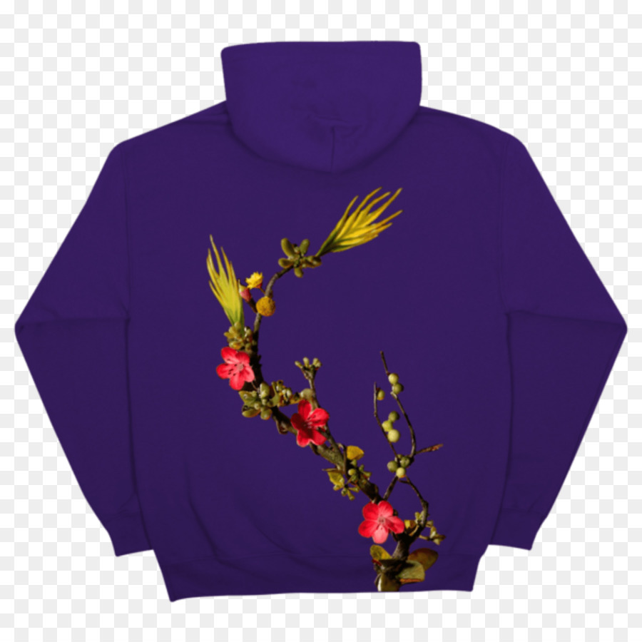 Sudadera Con Capucha，Camiseta PNG