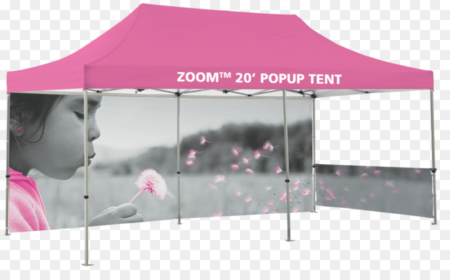 Carpa，Emergente Del Dosel PNG