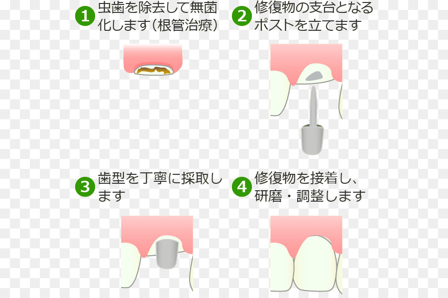 西千葉 Flor Clínica Dental 稲毛区・西千葉，Dentista PNG