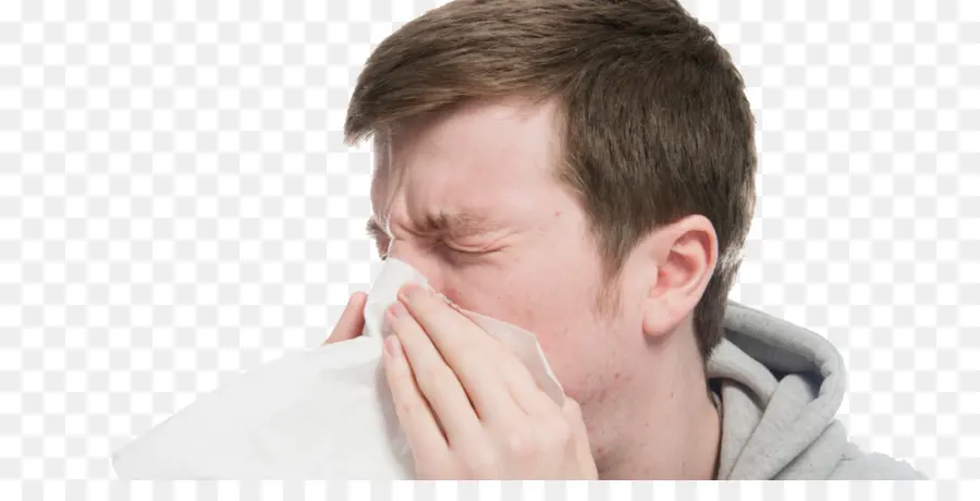 Estornudar，Nariz PNG