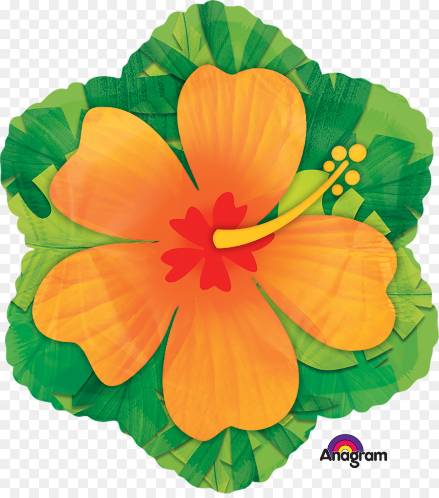 Luau，Globo PNG