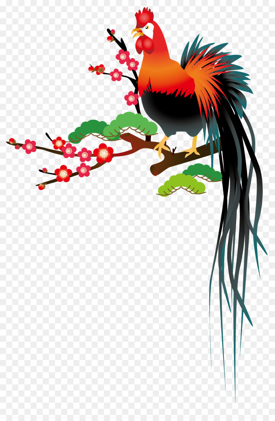 Gallo，Pluma PNG