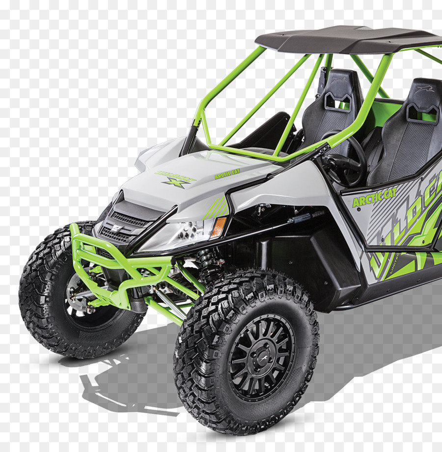 Arctic Cat，Gato Salvaje PNG