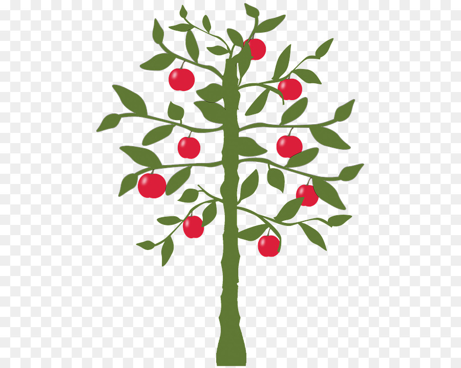 Árbol，Manzanas Verdes PNG