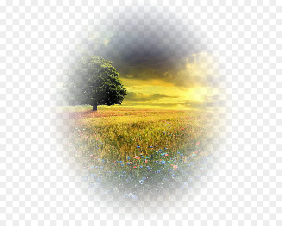 Paisaje，La Naturaleza PNG